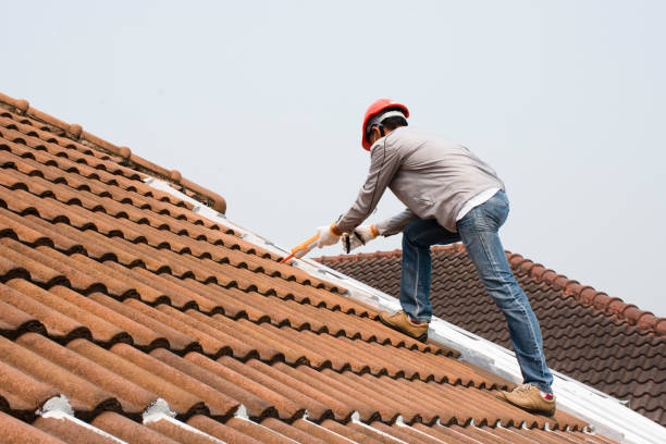 Best Slate Roofing  in Siloam Springs, AR
